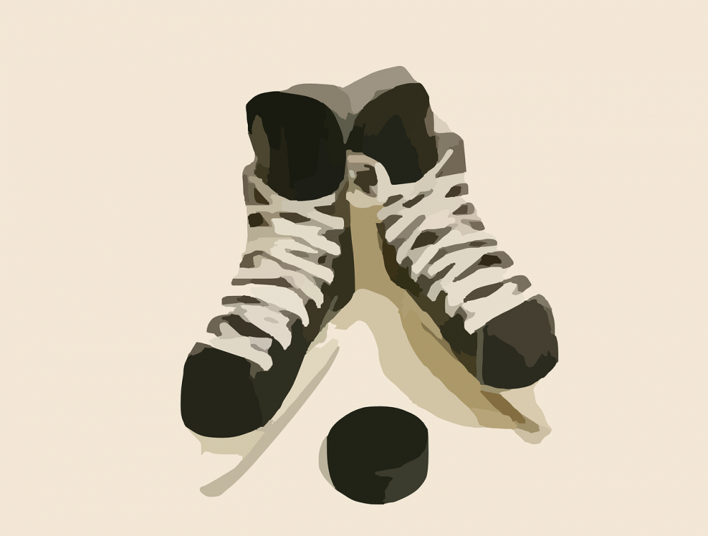 Almtuna Hockey: En omfattande översikt av sporten och dess variationer
